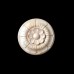 FLR-20: Circular Leafy Rosette Flower